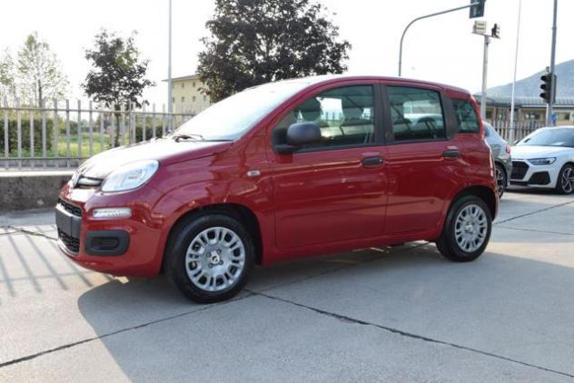 FIAT Panda 1.0 Firefly Hybrid Icon S&S 65cv *5posti* rif. 24102648 - Foto 3