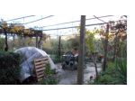 Immobile in asta di 90 m² in vendita a Orte