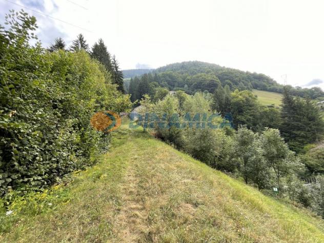 ALBAREDO PER SAN MARCO PROPONIAMO BAITA DI MONTAGNA - Foto 11