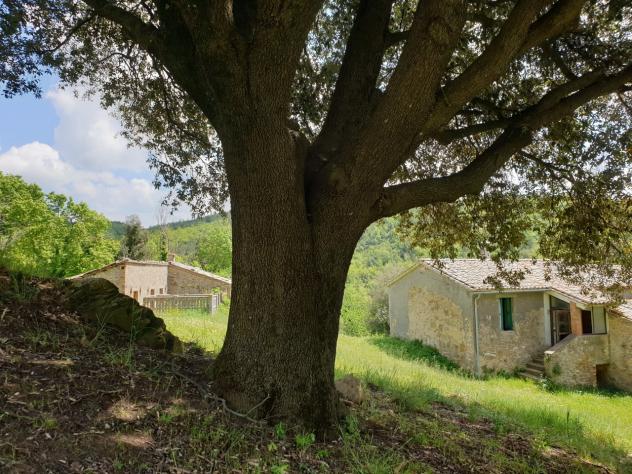Casale in vendita a Orvieto - Foto 6