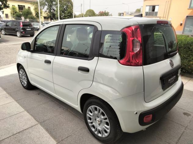 FIAT Pandina Pandina 1.0 FireFly Hybrid Icon S&S 65cv *PROMO AZZURRA* - Foto 5