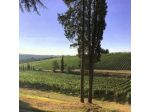 Agriresort Tenute Ruffino