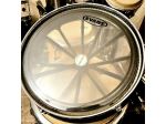 Rototom Remo 12 "
