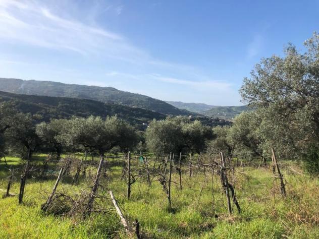 Agricolo in Destre - Foto 4