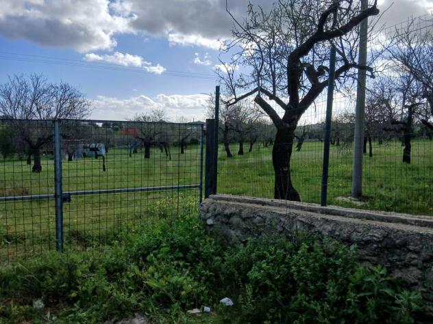 Terreno Edificabile in vendita a Avola - Foto 5