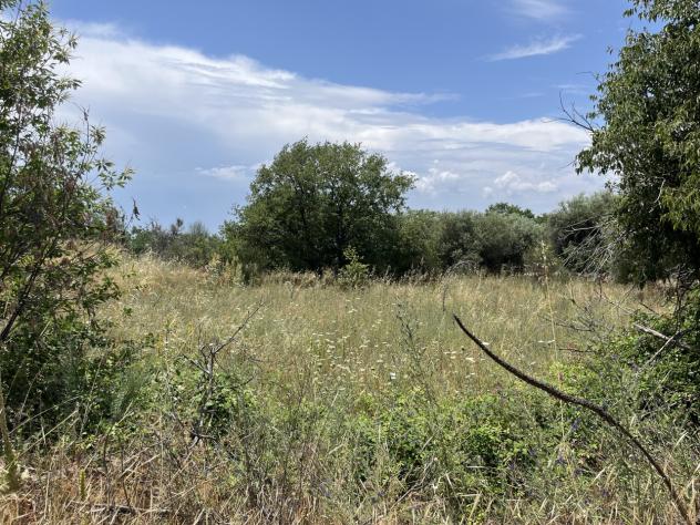Agricolo in vendita a Belpasso