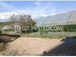 Terreno di 4131 mq  in vendita a Rizziconi - Rif. 4554892