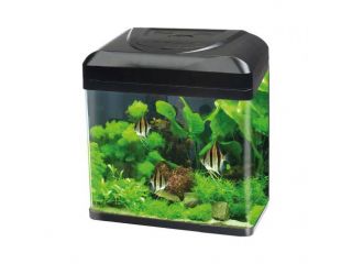 Acquario Blu Bios mod. Billy 30