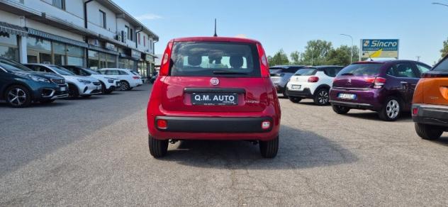 FIAT Panda 3ª serie Panda 1.0 FireFly S&S Hybrid - Foto 7