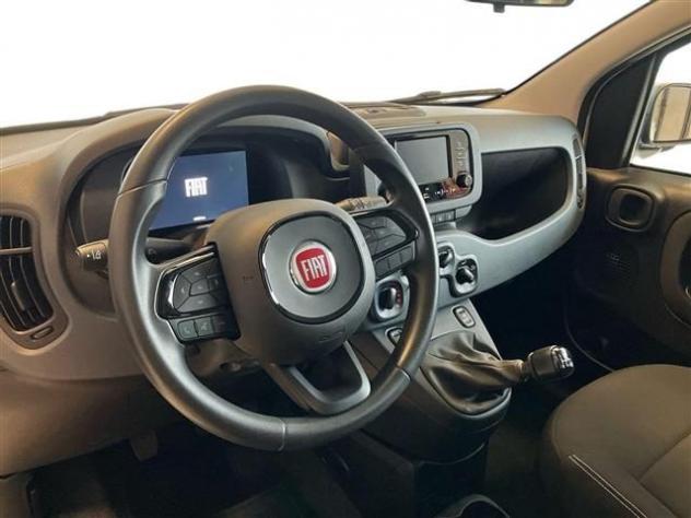 FIAT Panda Pandina 1.0 FireFly Hybrid 65cv Icon S&S 5p.ti rif. 24121707 - Foto 6