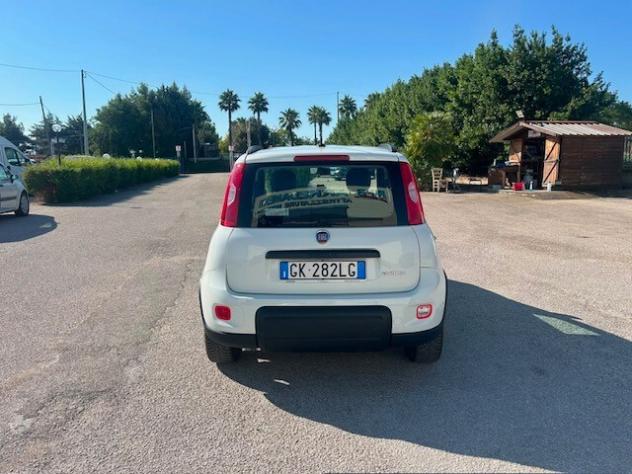 FIAT PANDA 1.0 FireFly 70cv S&S Hybrid City Life - Foto 5