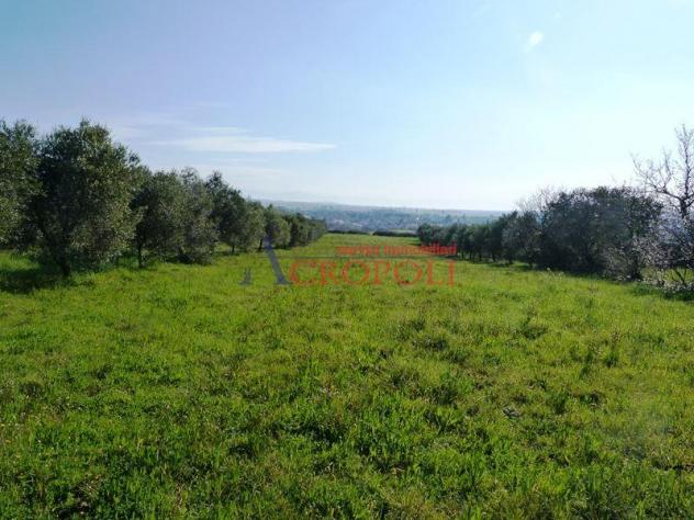 Terreno Edificabile - Rif. 2489 - Foto 3