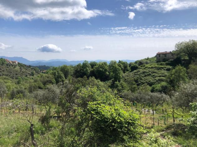 Agricolo di 95000mq - Foto 14