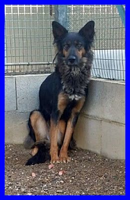 KITANA, SPLENDIDA MIX LUPETTA CERCA CASA - Foto 3