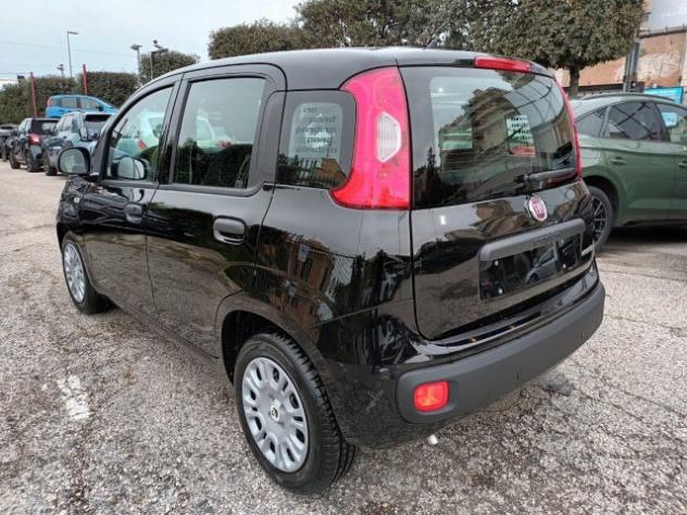 FIAT Panda 1000 HYBRID PANDINA POP 70CV ITALIA rif. 23999460 - Foto 3