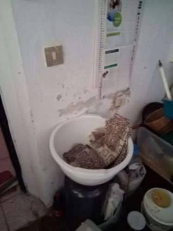 Immobile in asta di 149 m² con più di 5 locali in vendita a Carbonia - Foto 10