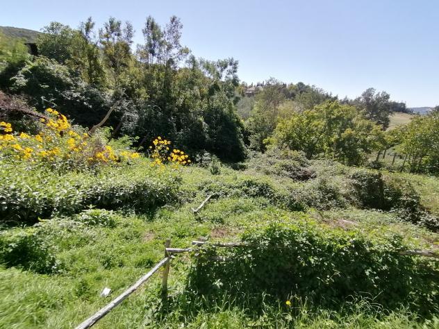In una frazione del comune di Castell'Azzara, più precisamente a Selvena, dove sono presenti i servizi di prima necessità; , vendiamo appartamento su - Foto 6