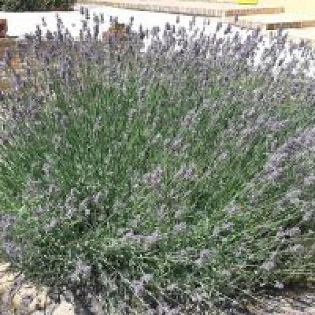 B&B Santa Caterina