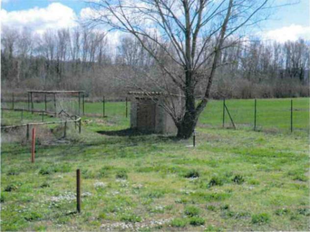Immobile in asta di 578 m² in vendita a Città della Pieve - Foto 3