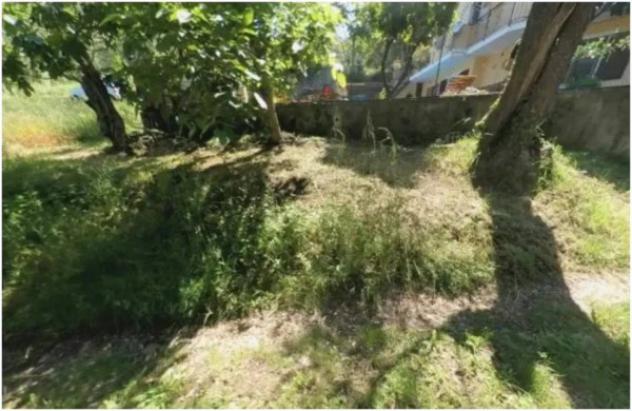 Immobile in asta di 2610 m² in vendita a Pietrabruna - Foto 5