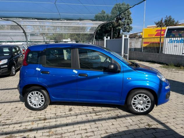 FIAT Pandina Pandina 1.0 firefly hybrid Icon s&s 65cv - Foto 5