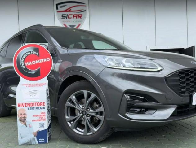 FORD Kuga 1.5 EcoBlue 120 CV aut. 2WD ST-Line X rif. 23627953 - Foto 8