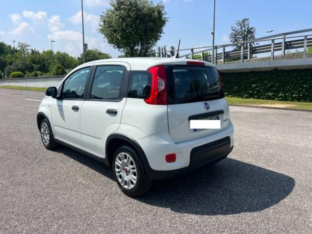 FIAT Panda 1.0 FireFly S&S Hybrid 70CV UNICO PROPRIETARIO rif. 23675530 - Foto 6