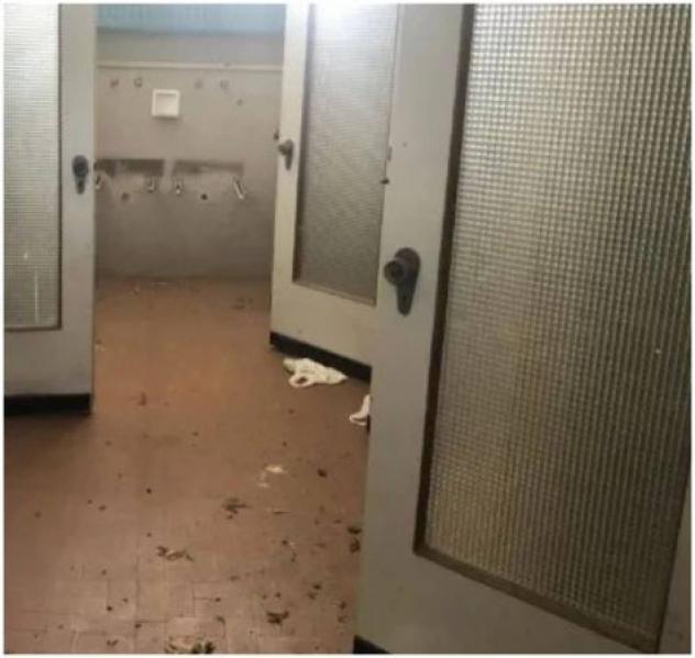 Immobile in asta di 5852 m² in vendita a Sissa Trecasali - Foto 14