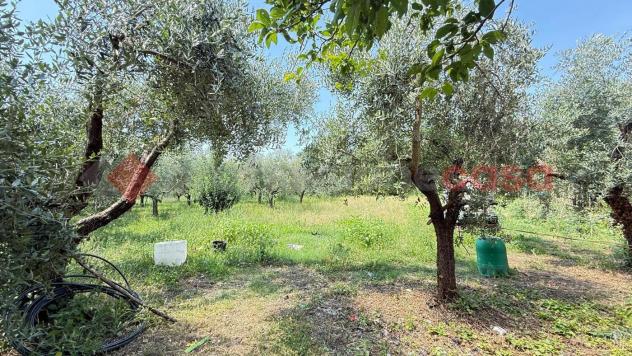 Casa Indipendente - Alatri . Rif.: Cod. rif 3329070VRG - Foto 9
