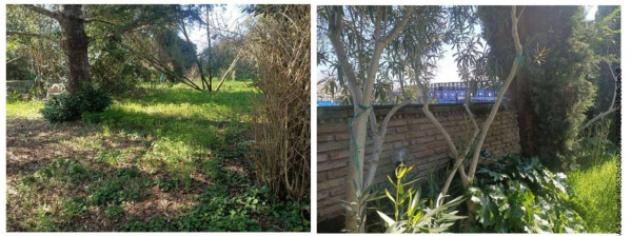 Immobile in asta di 1255 m² in vendita a Cesenatico - Foto 3