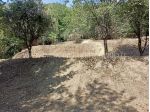 Terreno agricolo