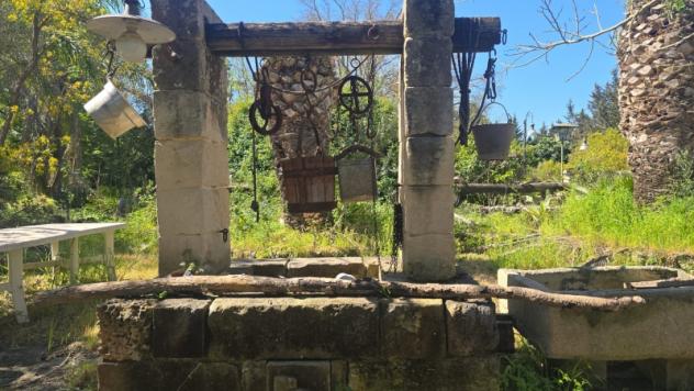 Autentica Masseria Salentina con oltre 4.600 mq di Terreno – Arnesano (Lecce) - Foto 10