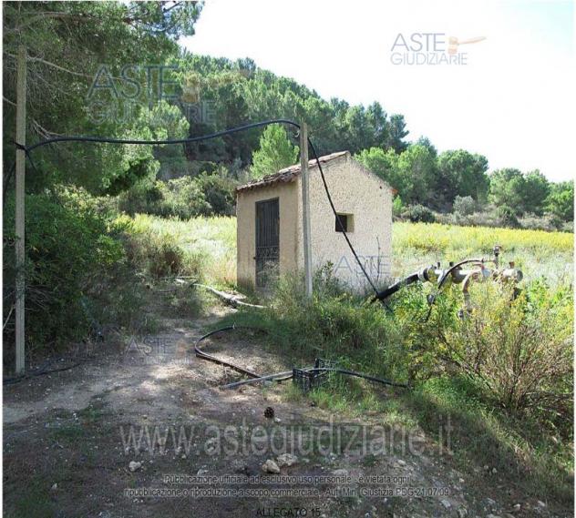IMMOBILI-IMMOBILE RESIDENZIALE-Contrada Torre Vecchia - Foto 5