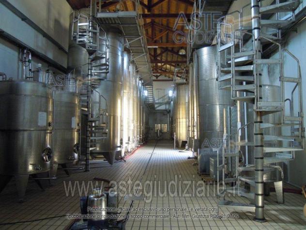 IMMOBILI-IMMOBILE INDUSTRIALE-Contrada S. Vito, 91020 Salaparuta TP, Italia - Foto 2