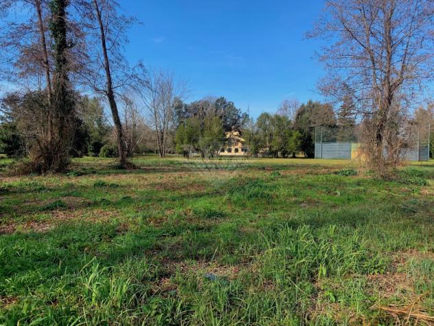 TERRENO AGRICOLO di 6980 mq (PIETRASANTA - Fiumetto) rif. 172/VE - Foto 6