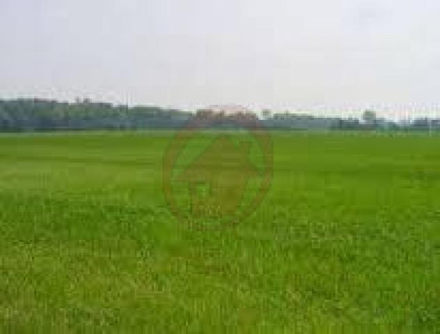 Terreno a Villanova di Camposampiero - Rif. T77