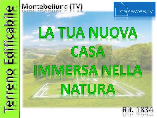 1834 - Terreno edif. 2500 mq a Montebelluna (TV)Rif. 1834 - Foto 4