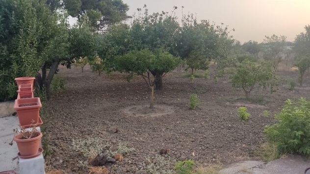 Vendesi terreno agricolo recintato con fabbricato in zona Dattilo (Trapani)