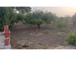 Vendesi terreno agricolo recintato con fabbricato in zona Dattilo (Trapani)