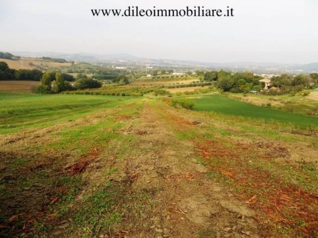 Casale in vendita a Pesaro - Foto 14