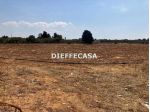 V2499 - In vendita a Trapani terreno agricolo