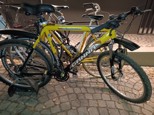 Mountain bike - Foto 8