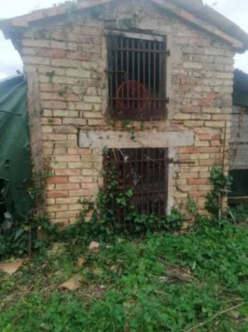 Immobile in asta di 890 m² con più di 5 locali in vendita a Castelplanio - Foto 6