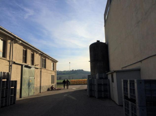 Immobile in asta di 3586 m² con 4 locali in vendita a Spoleto - Foto 6
