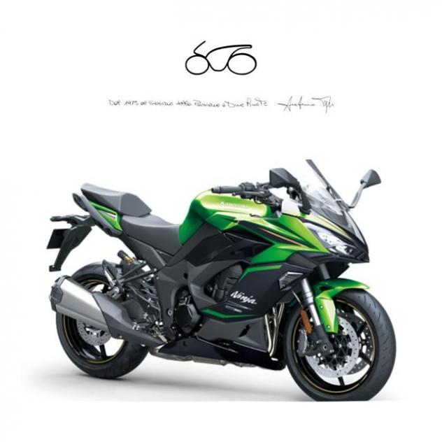 KAWASAKI Ninja 1100SX SE SE 2025 rif. 18417139