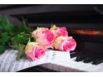 Pianista classico per   musica romantica e/o swing