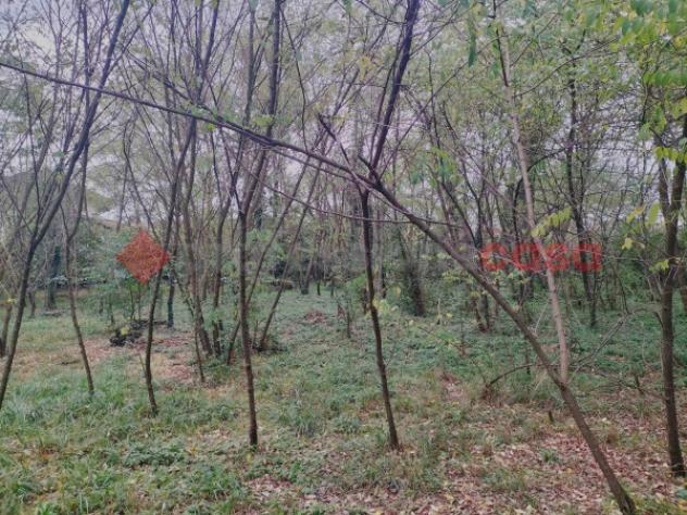 Terreno di 1200 m² in vendita a Cressa - Foto 8