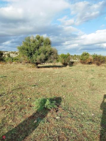 Terreno edificabile in Vendita in Contrada La Gemmazza Di Monasteri a Siracusa - Foto 4