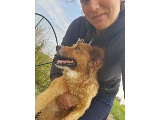 Stefi: 2 anni taglia contenuta