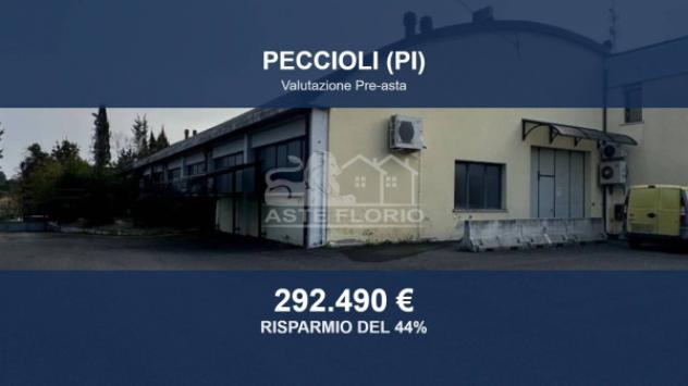 Immobile in asta di 1301 m² in vendita a Peccioli